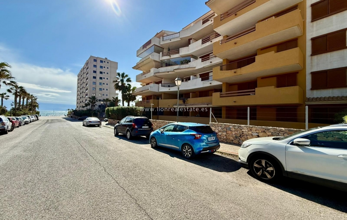 Reventa - Apartamento / piso - Punta Prima