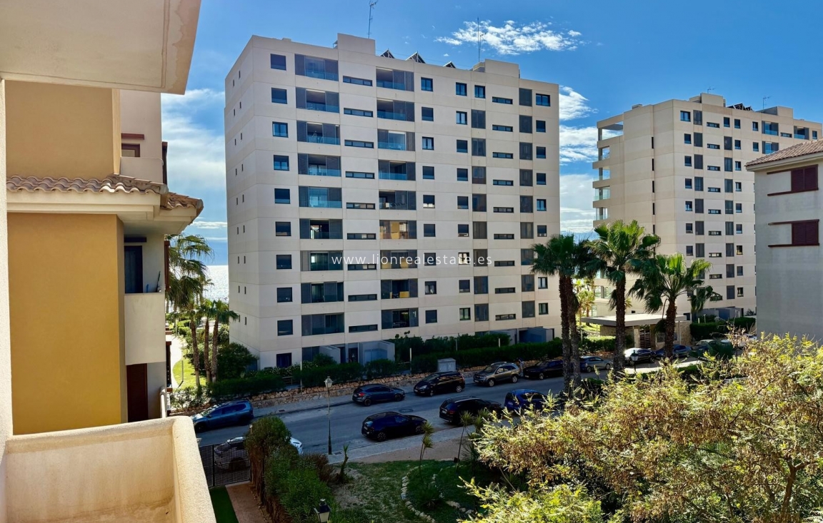 Reventa - Apartamento / piso - Punta Prima