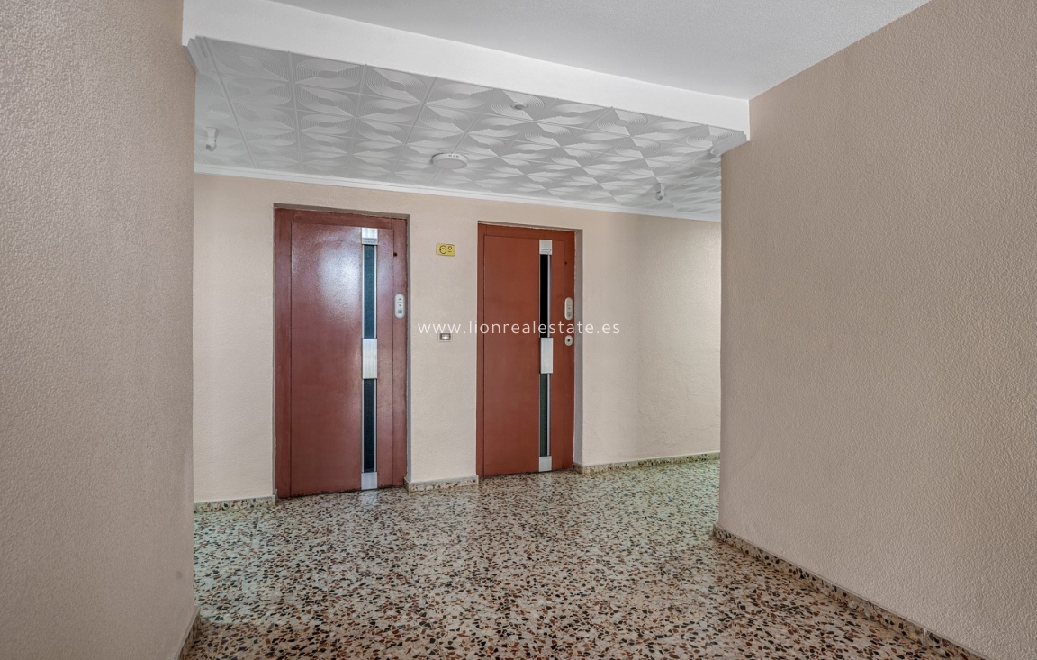 Reventa - Apartamento / piso - Punta Prima