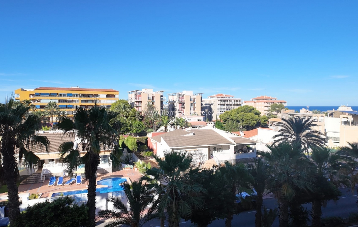 Reventa - Apartamento / piso - Punta Prima