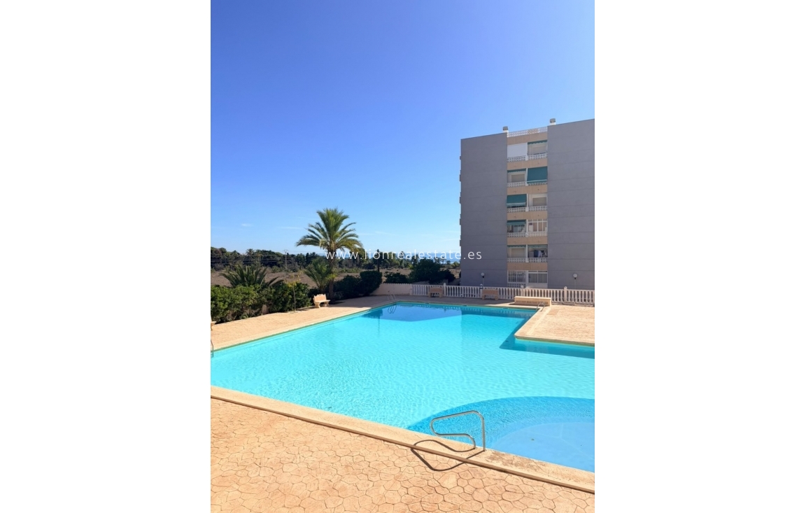 Reventa - Apartamento / piso - Punta Prima