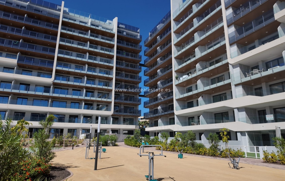 Reventa - Apartamento / piso - Punta Prima