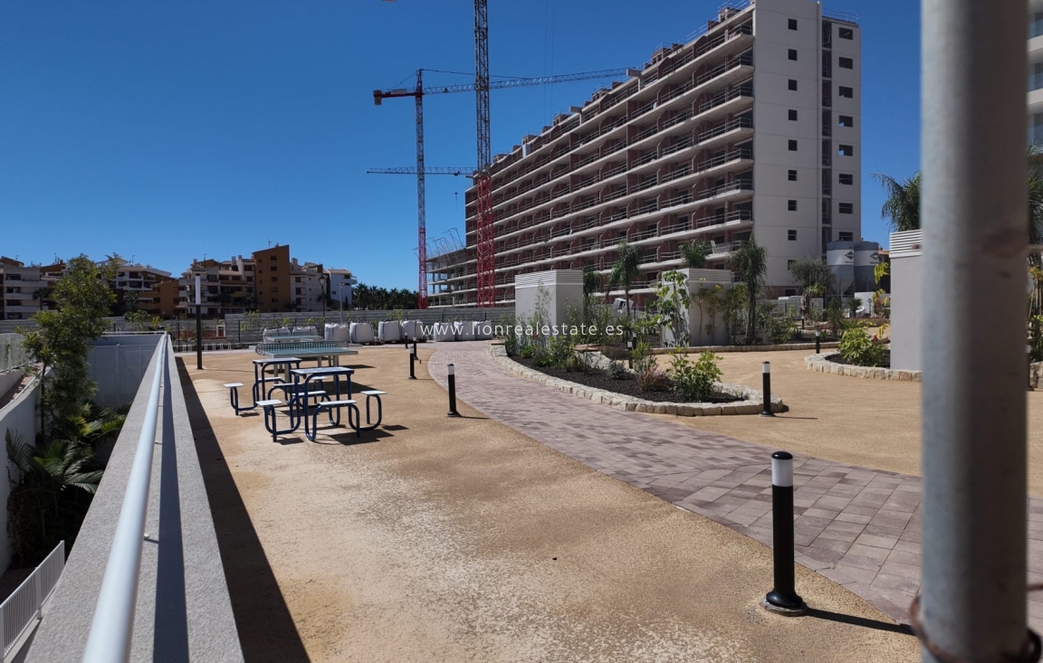 Reventa - Apartamento / piso - Punta Prima
