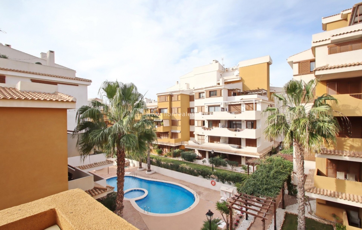 Reventa - Apartamento / piso - Punta Prima