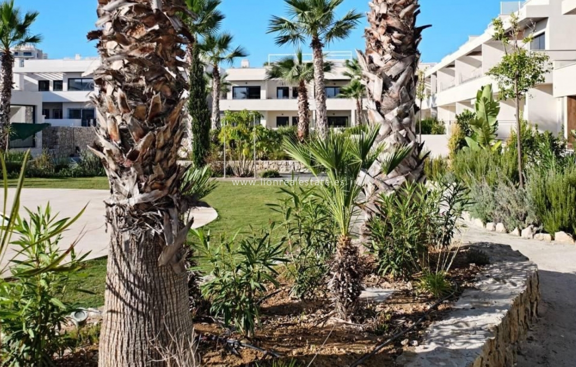 Reventa - Apartamento / piso - Torrevieja - La Veleta