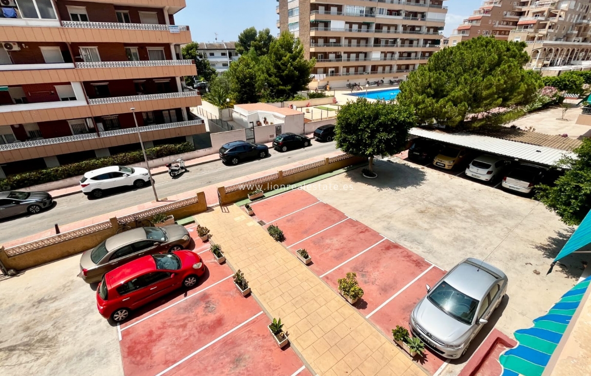 Reventa - Apartamento / piso - Torrevieja - Punta Prima