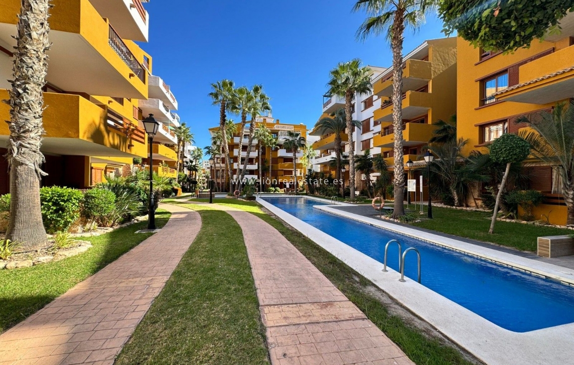 Reventa - Apartamento / piso - Torrevieja - Punta Prima