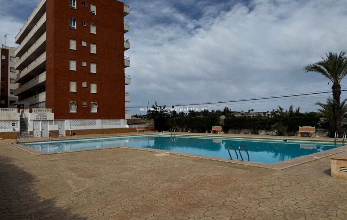 Reventa - Apartamento / piso - Torrevieja - Punta Prima