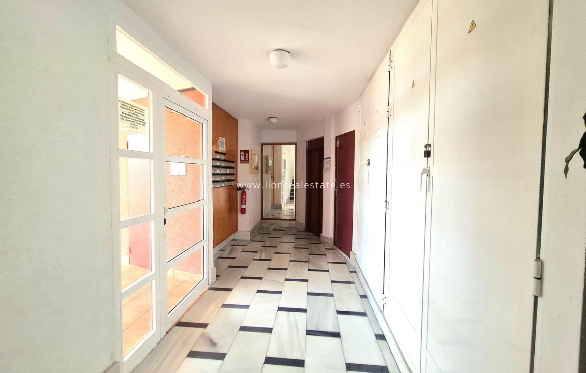 Reventa - Apartamento / piso - Torrevieja - torrevieja