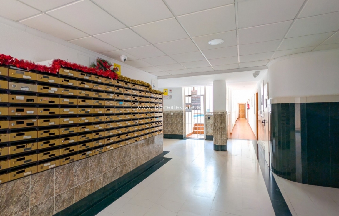 Reventa - Apartamento / piso - Torrevieja