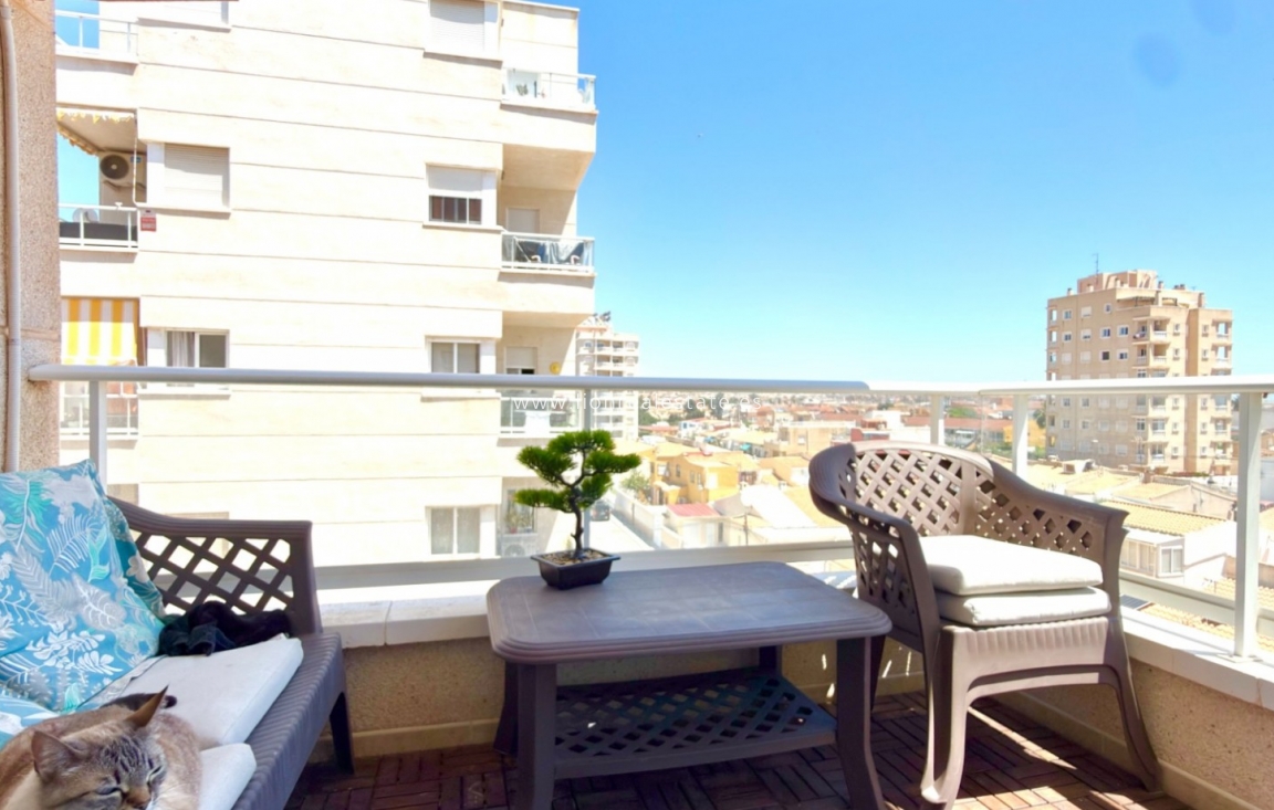 Reventa - Apartamento / piso - Torrevieja