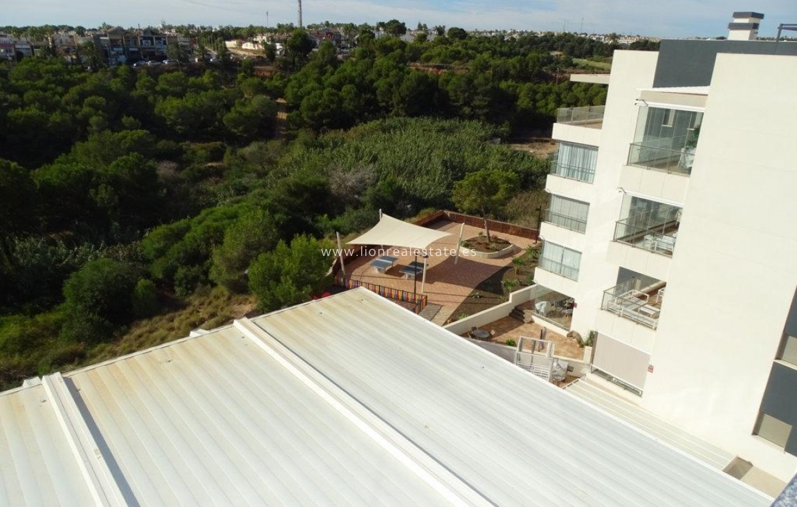 Reventa - Ático - Orihuela Costa - Villamartin