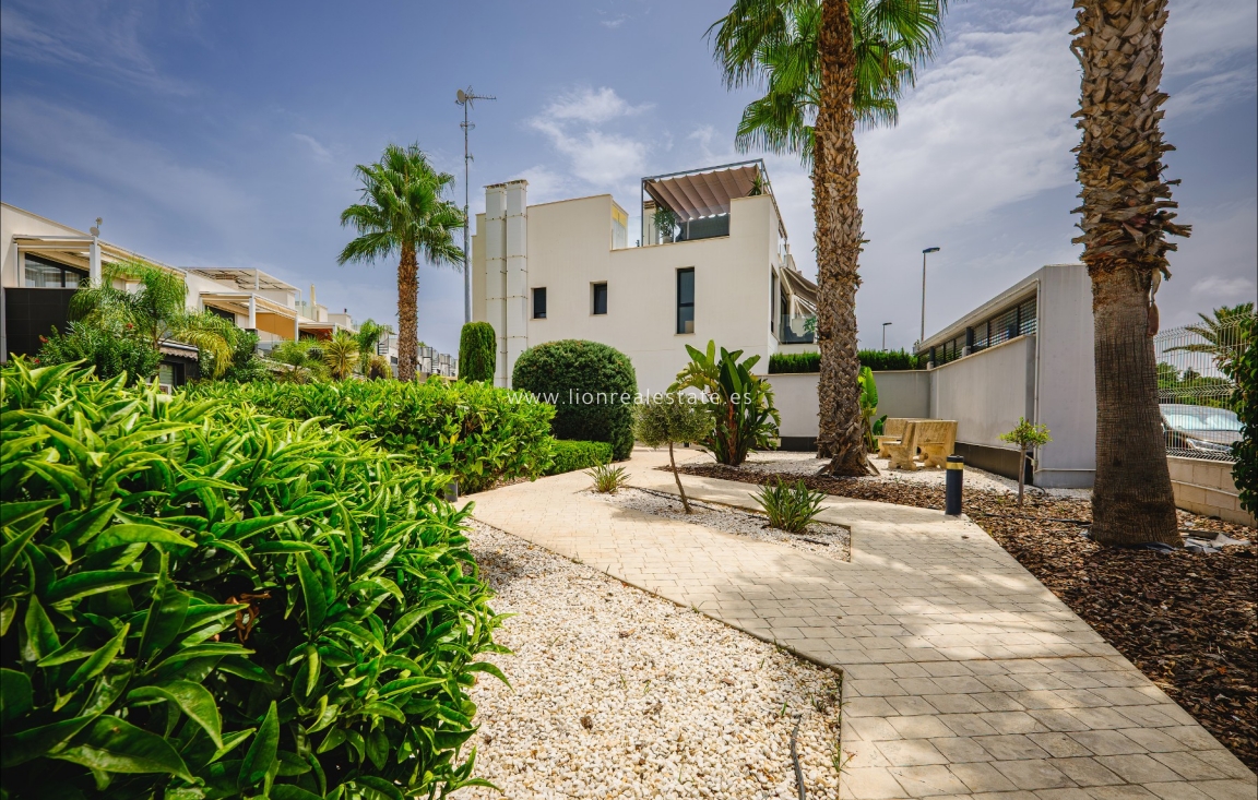 Reventa - Bajo - Orihuela Costa - Punta Prima