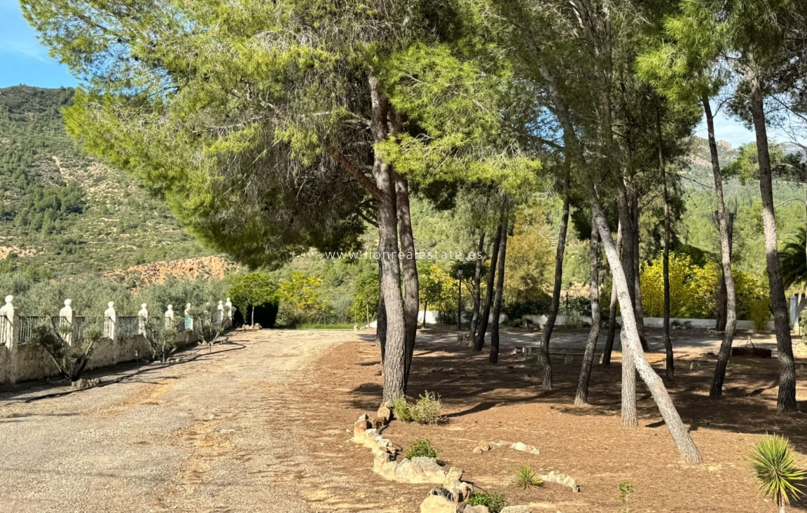 Reventa - Building - Valencia