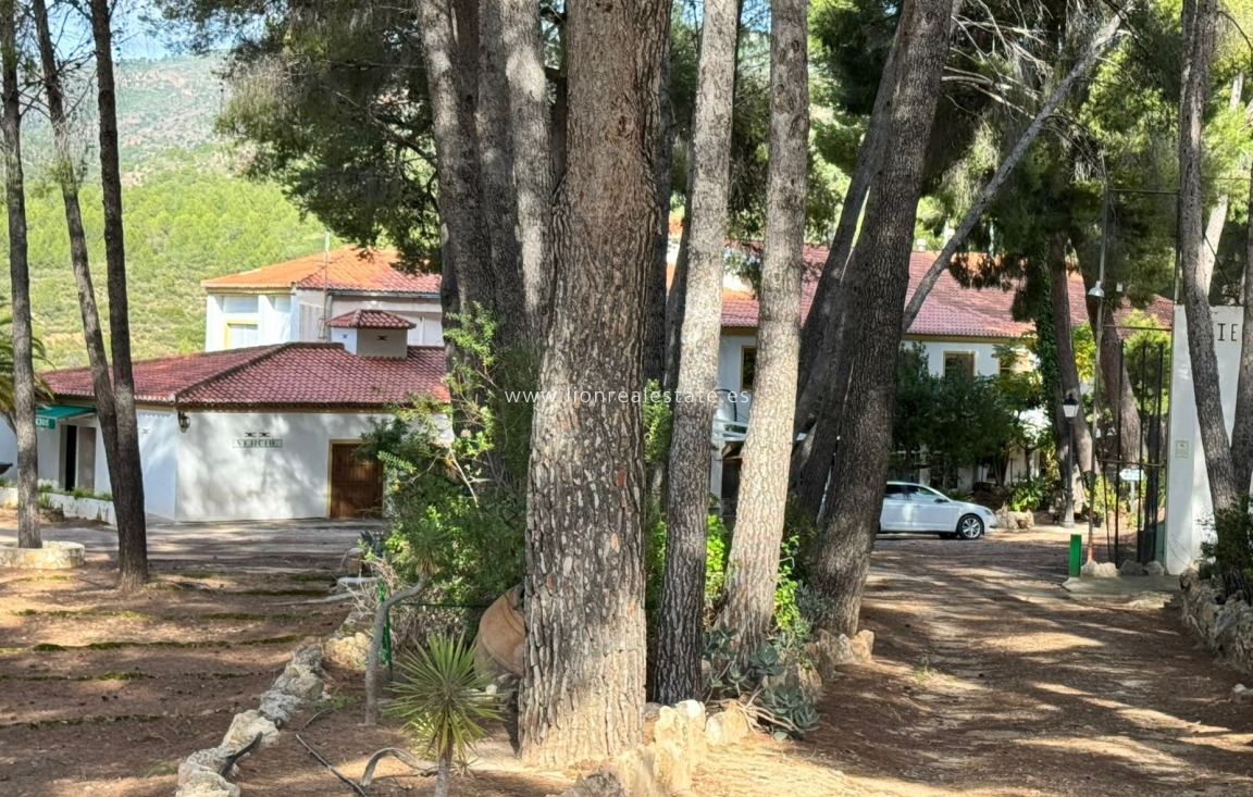 Reventa - Building - Valencia