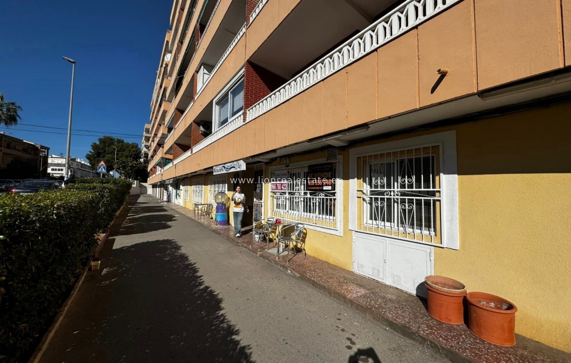 Reventa - Comercial - Orihuela Costa - Punta Prima