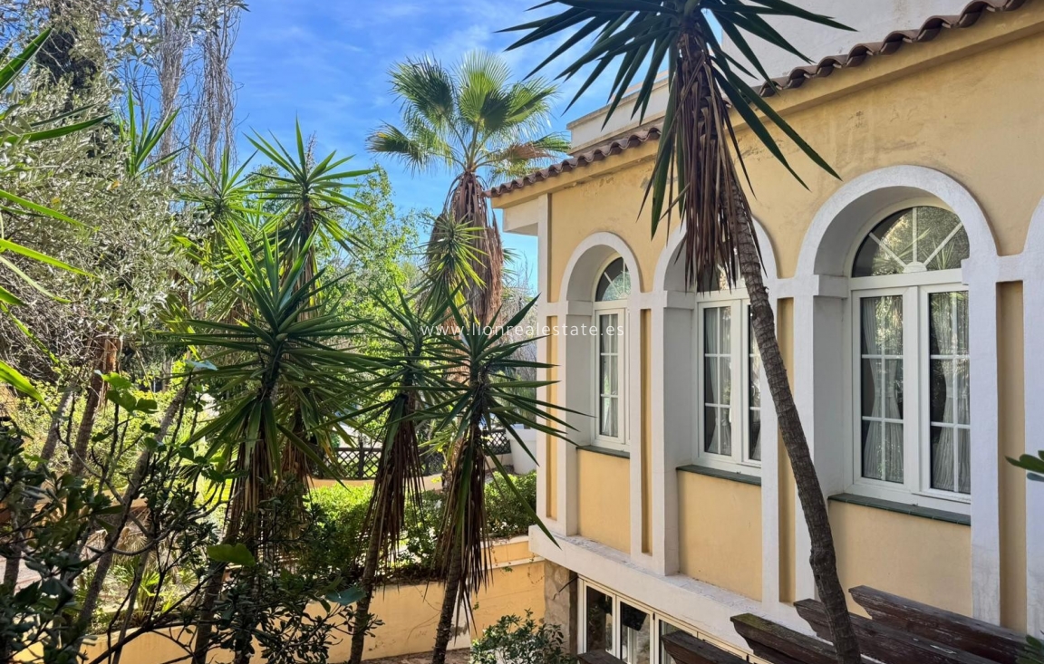 Reventa - Comercial - Orihuela Costa