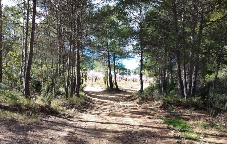 Reventa - Country land - Mula