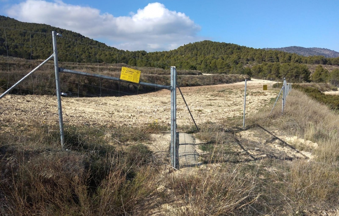 Reventa - Country land - Mula