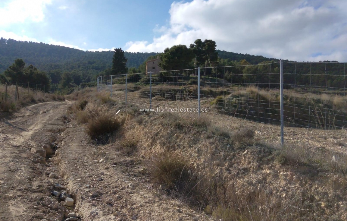 Reventa - Country land - Mula