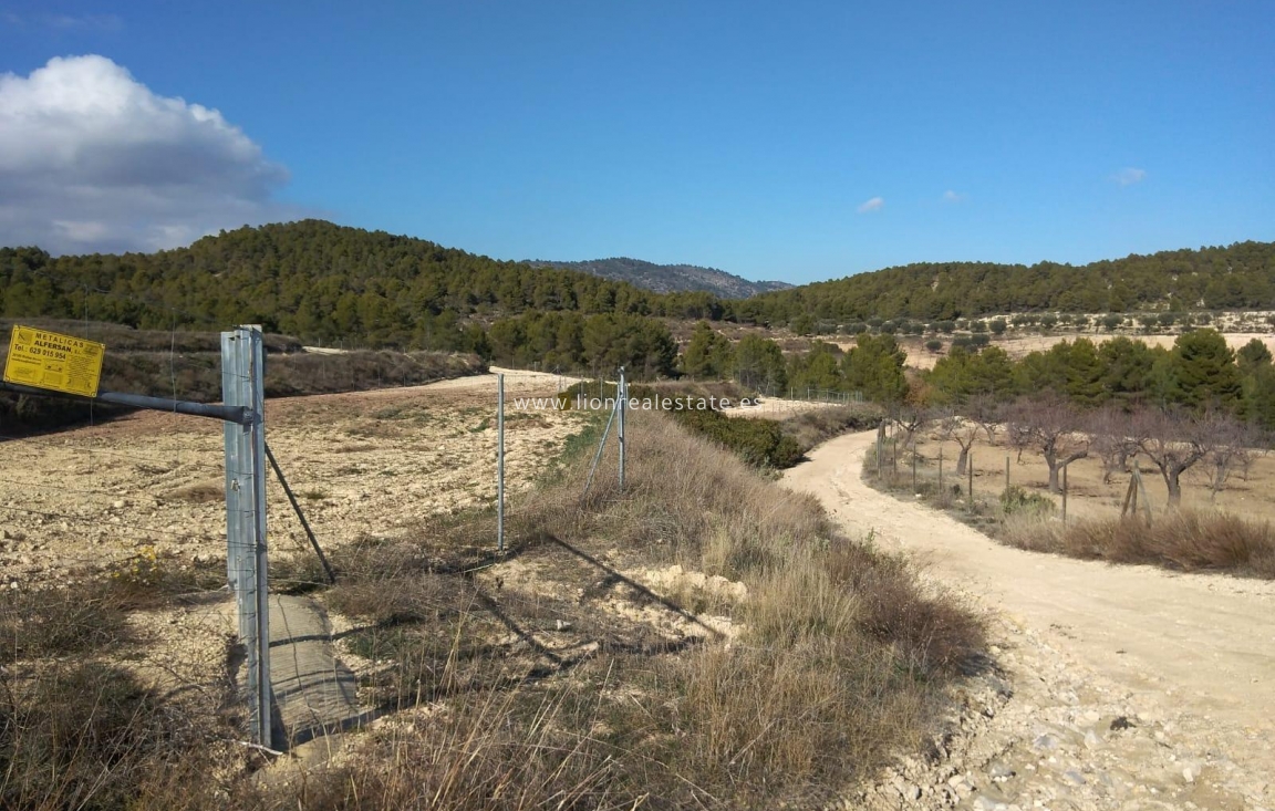 Reventa - Country land - Mula