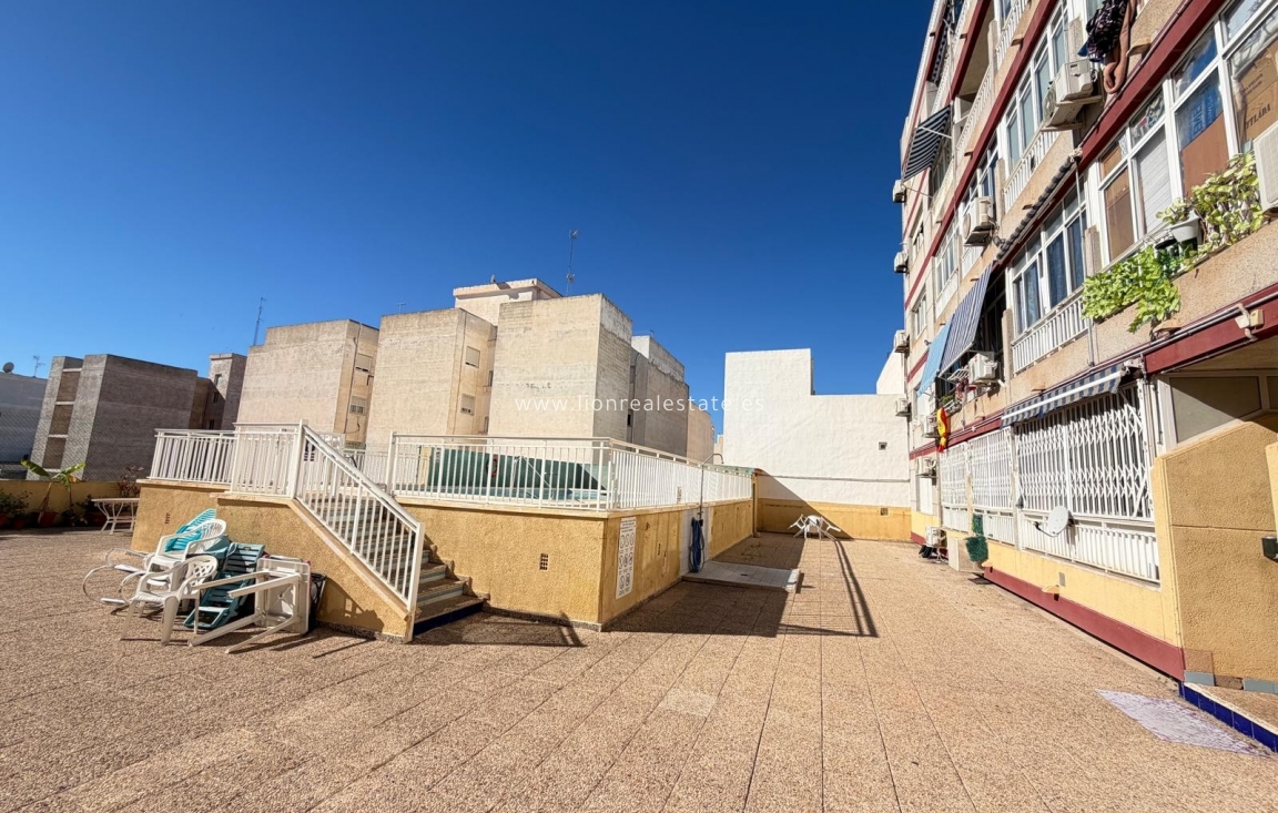Reventa - Estudio - Torrevieja - Centro