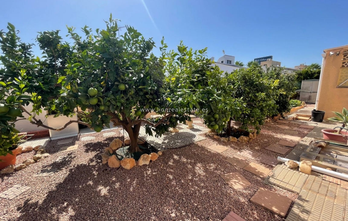Reventa - Villa - Cabo Roig