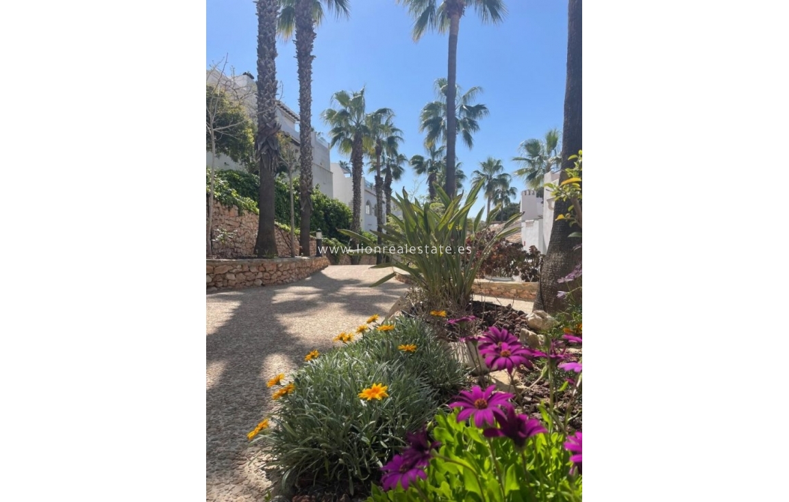 Reventa - Villa - Orihuela Costa - Villamartín-Las Filipinas