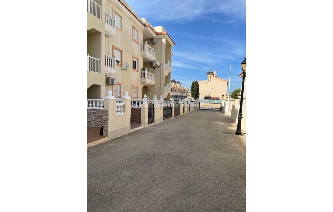 Short Term Rental - Apartment / flat - Orihuela Costa - La Zenia