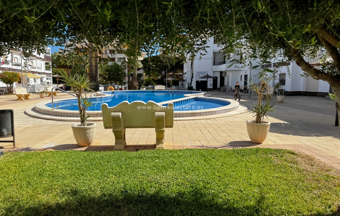 Short Term Rental - Apartment / flat - Orihuela Costa - Punta Prima