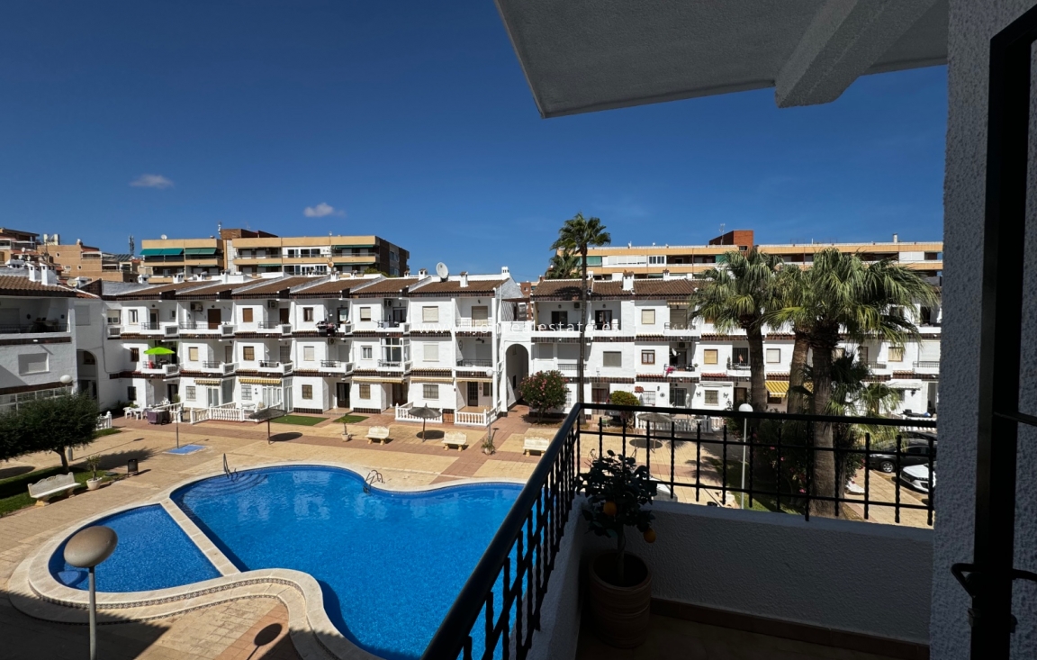 Short Term Rental - Apartment / flat - Orihuela Costa - Punta Prima