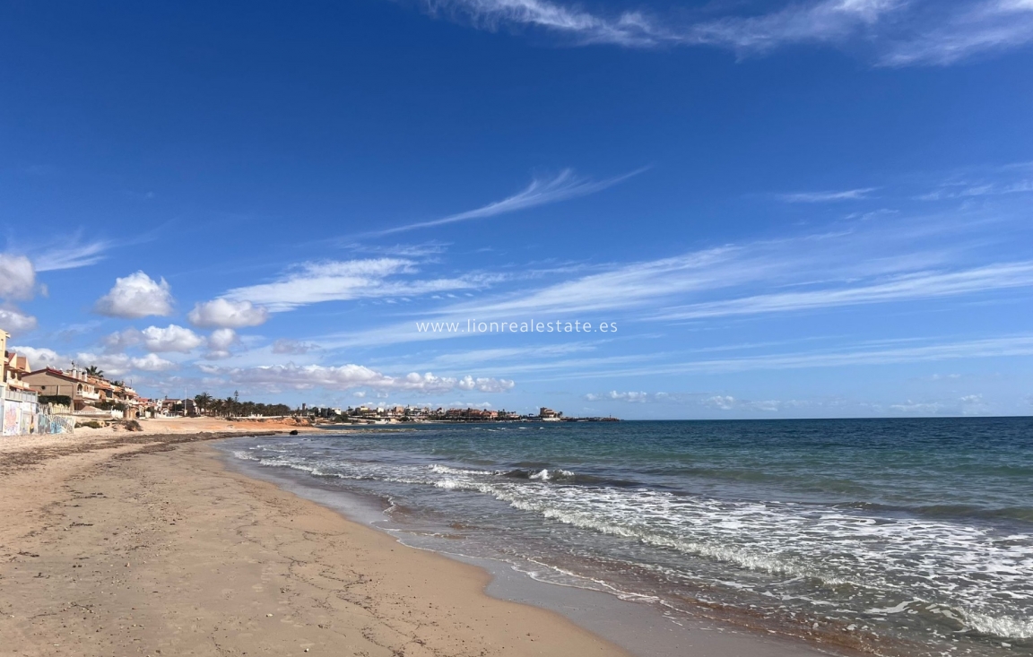 Short Term Rental - Apartment / flat - Pilar de la Horadada - Torre de la Horadada