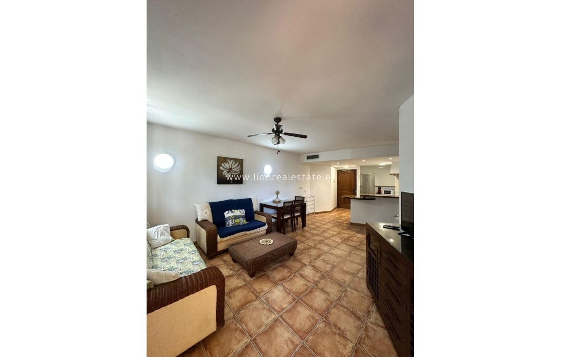 Short Term Rental - Apartment / flat - Punta Prima