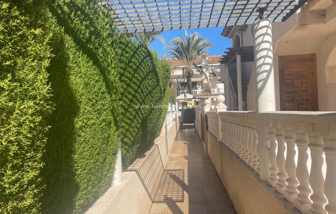 Short Term Rental - Apartment / flat - Punta Prima