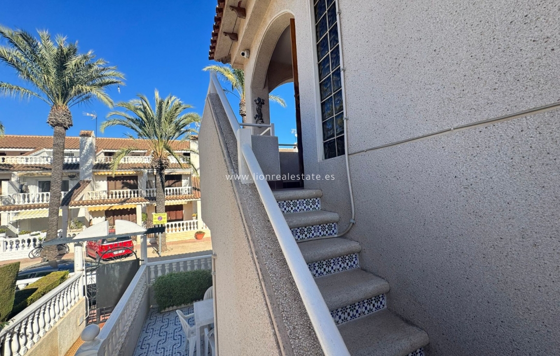 Short Term Rental - Apartment / flat - Punta Prima