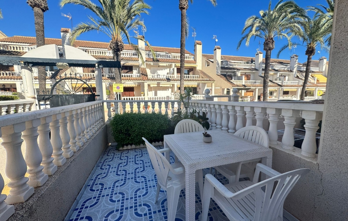 Short Term Rental - Apartment / flat - Punta Prima