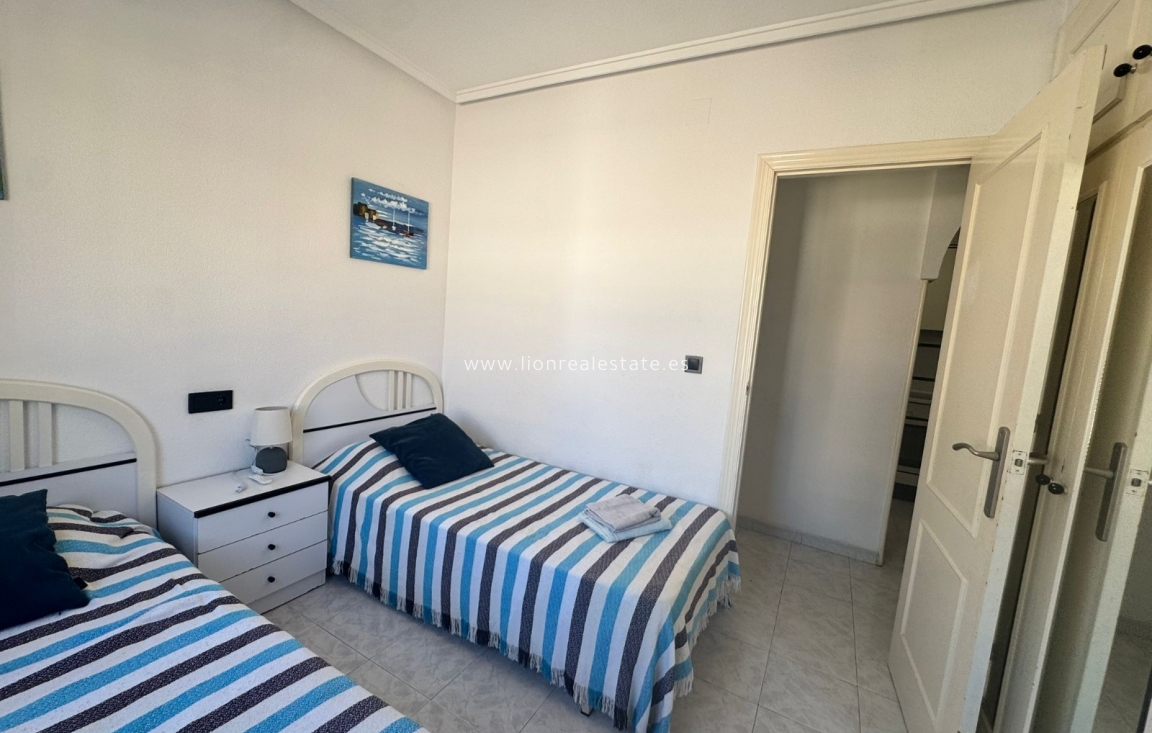 Short Term Rental - Apartment / flat - Punta Prima