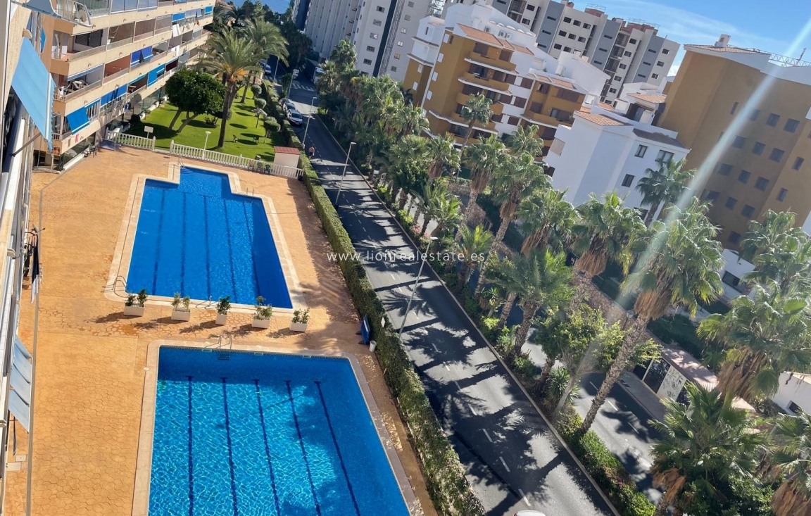 Short Term Rental - Apartment / flat - Punta Prima