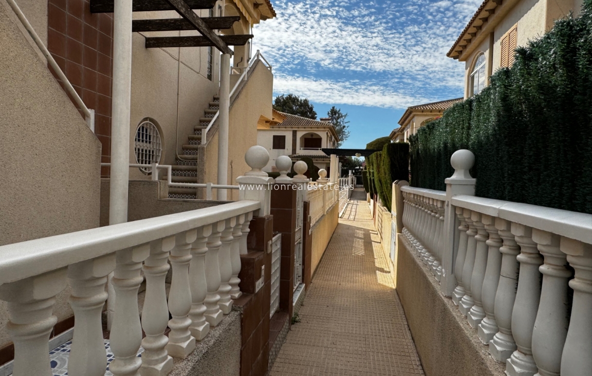 Short Term Rental - Apartment / flat - Punta Prima