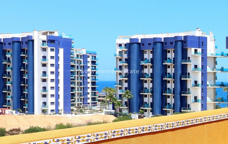 Short Term Rental - Apartment / flat - Punta Prima