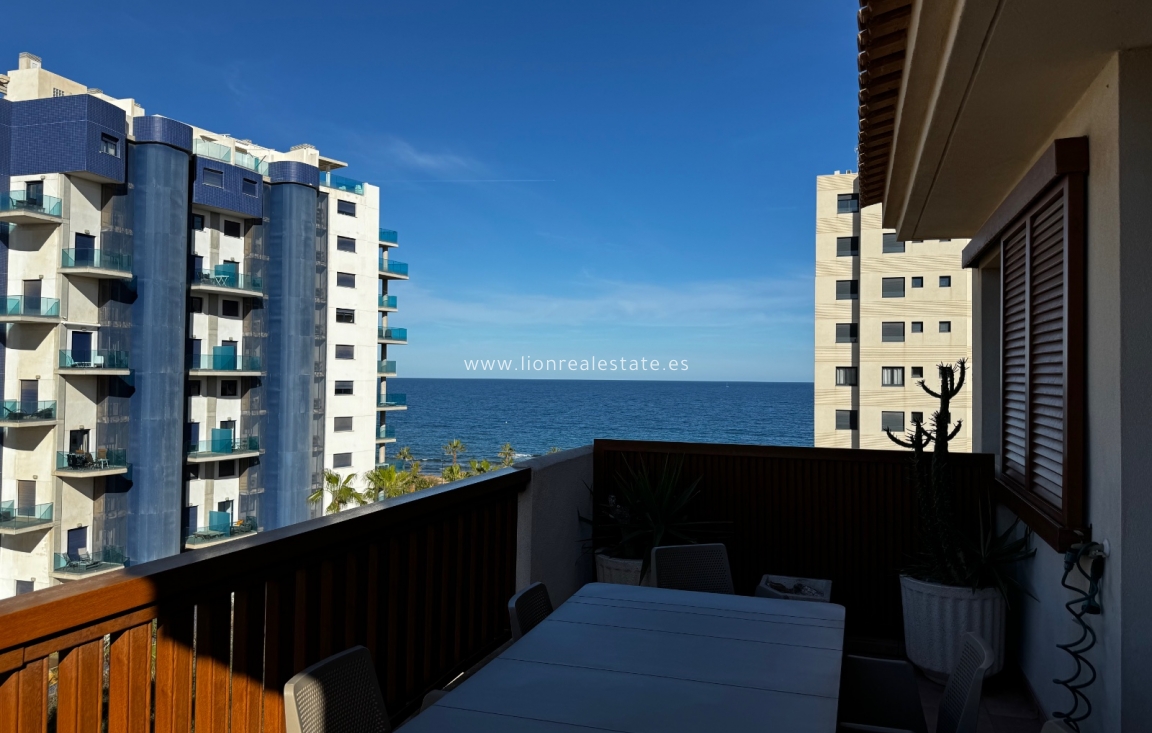 Short Term Rental - Apartment / flat - Punta Prima