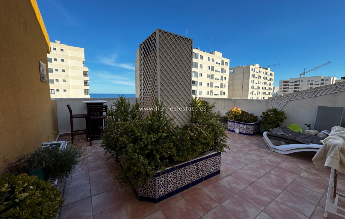 Short Term Rental - Apartment / flat - Punta Prima