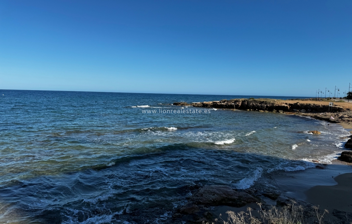 Short Term Rental - Apartment / flat - Punta Prima