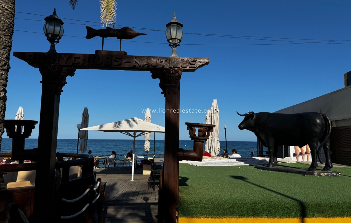 Short Term Rental - Apartment / flat - Punta Prima