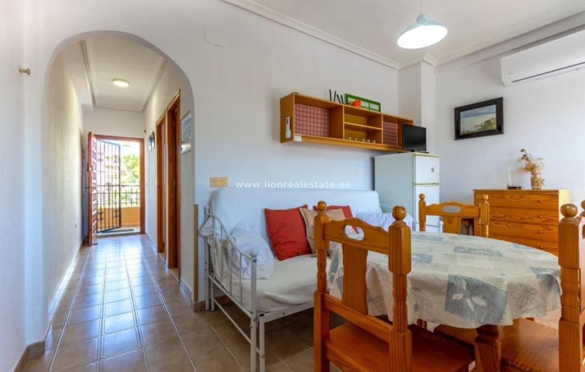 Short Term Rental - Apartment / flat - Punta Prima