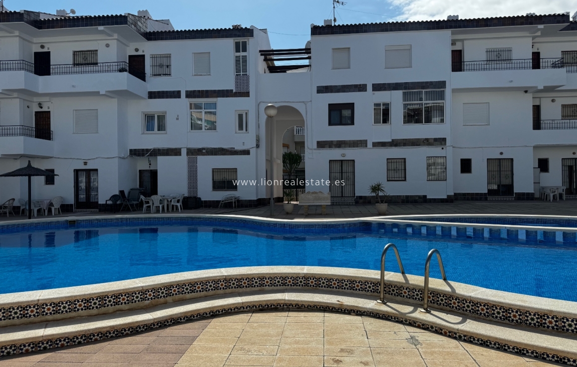 Short Term Rental - Apartment / flat - Punta Prima