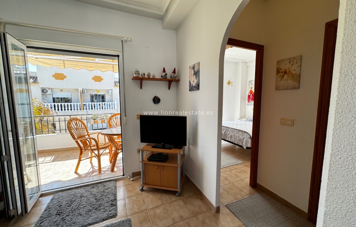 Short Term Rental - Apartment / flat - Punta Prima
