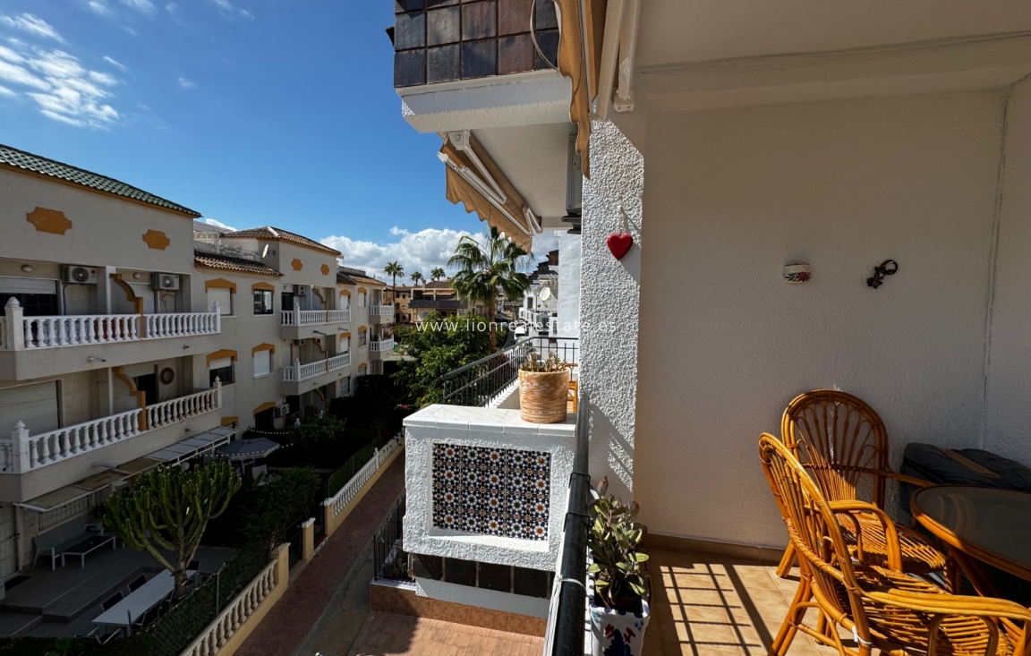 Short Term Rental - Apartment / flat - Punta Prima