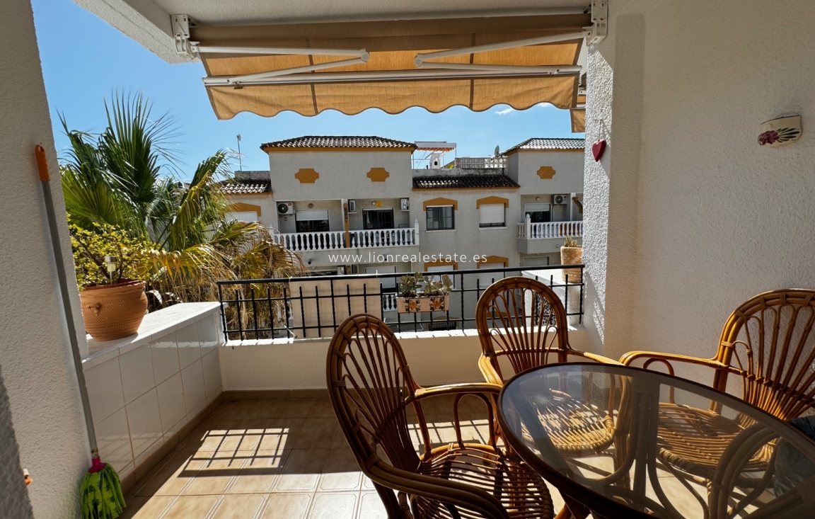 Short Term Rental - Apartment / flat - Punta Prima
