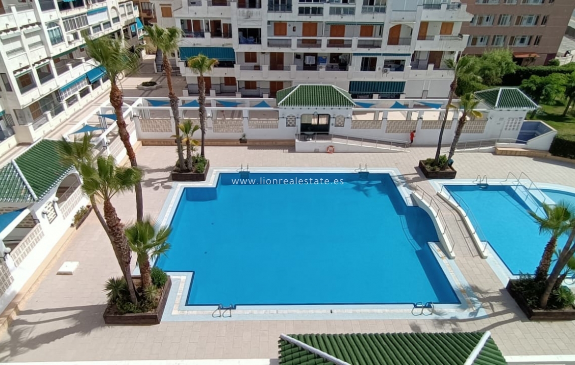 Short Term Rental - Apartment / flat - Torrevieja - La Mata